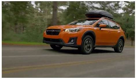 - 2019 Subaru Crosstrek TV Commercial, 'Love Is out There' [T2] - iSpot.tv