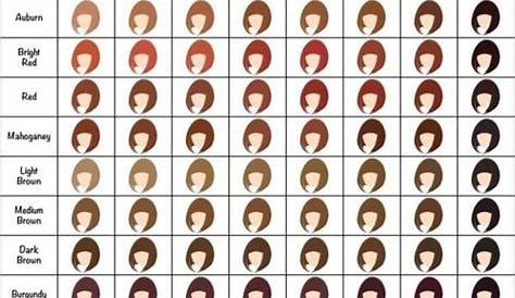 12 Ingeniously Useful Charts That Will Help You Have The Best Hair Of