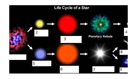 life cycle of stars printable