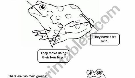amphibians worksheets for kids