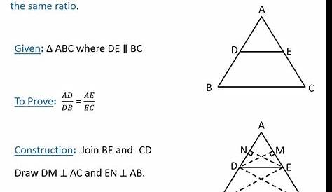 triangle proportionality theorem worksheet