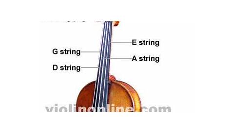 Teach child how to read: Printable Parts Of The Violin Worksheet