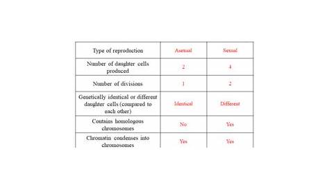 Biology Comparing Mitosis And Meiosis Worksheet Answers | TUTORE.ORG