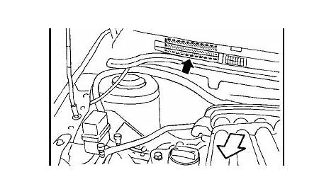 Nissan Sentra Owners Manual: Vehicle identification number (VIN) plate