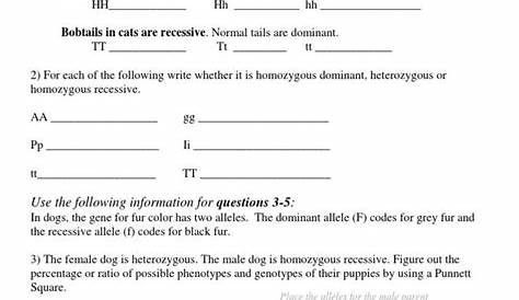 genotype and phenotype worksheets answer key