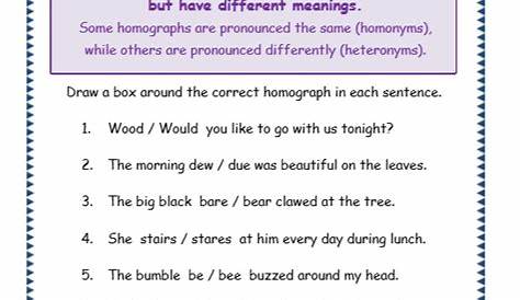 homographs worksheet for 5th grade