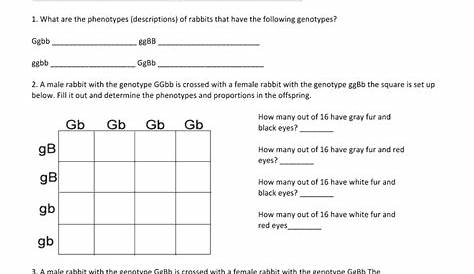 Chapter 10 Dihybrid Cross Worksheet Answer Key Form - Fill Out and Sign