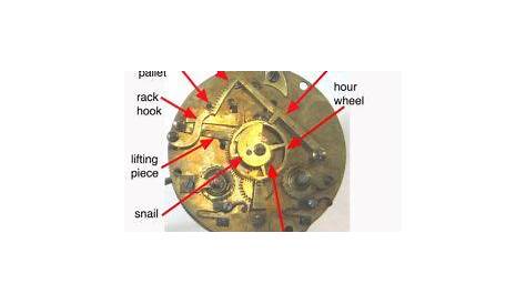 Clock Parts Terminology • | NAWCC Message Board Old Clocks, Antique