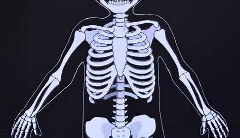 life size printable skeleton