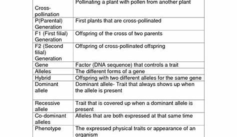 Harry Potter Genetics Worksheet Answers Part 1 • Suggested and Clear