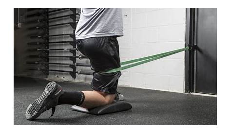 Rogue Monster Bands - 41" Mobility Bands | Rogue Fitness