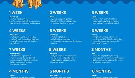 Dog Growth Chart - The O Guide