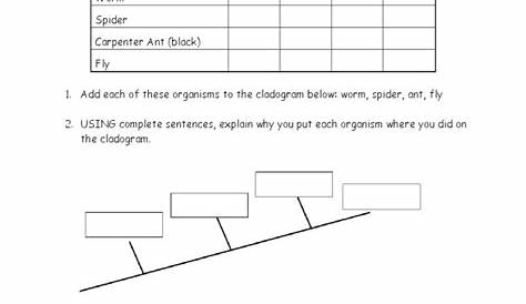 Cladogram Worksheet