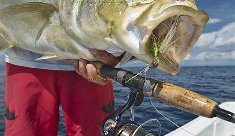 The Dream Catcher Drift – Key West Fishing Report