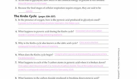 Section 9 2 The Krebs Cycle Answers - Fill Online, Printable, Fillable
