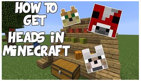 How to use/get Minecraft custom heads - YouTube