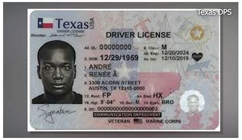 texas drivers license manual