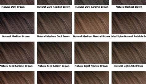 esalon hair color range