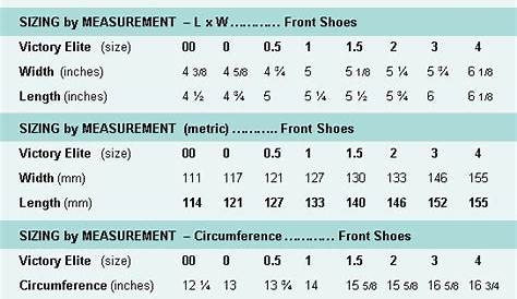 sizing horseshoe size chart