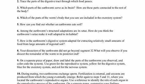 Earthworm Dissection Worksheet