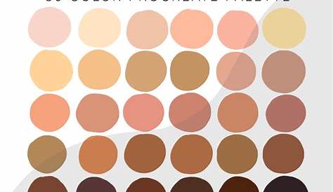 Procreate Skin Tones Color Palette Bundle | lupon.gov.ph