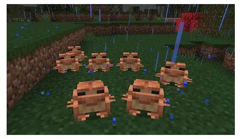 where do green frogs spawn in minecraft