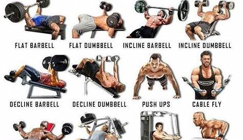 Pin by Albertkrgr on Methods of Exercise | Chest workouts, Workout plan