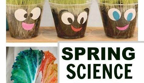 science activities for toddlers