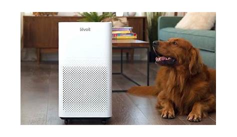 7 Best Levoit Air Purifier Reviewed: Are They Any Good? (2023)