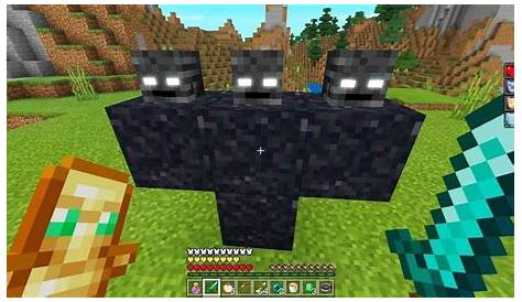 5 things players didn't know about Withers in Minecraft