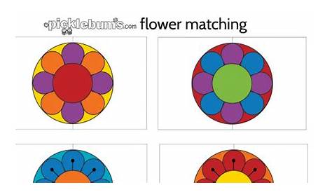 flower_matching_game.pdf | Flowers, Kids rugs, Visual discrimination