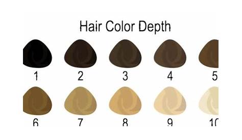 The Universal Hair Color Numbering System: Explained – The Hair Addict