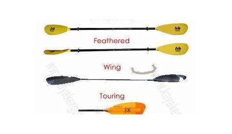 Pin on Best Paddles For Kayak