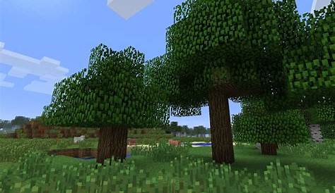 Every type of tree in Minecraft and where to find them