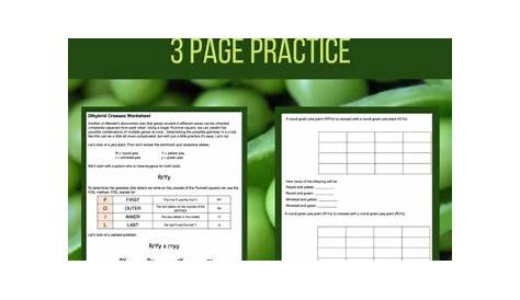 Dihybrid Cross Practice Worksheet with Answer Key - Laney Lee