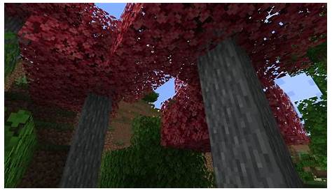 Tons of Trees Mod 1.15.2 (Variation of Trees) - 9Minecraft.Net
