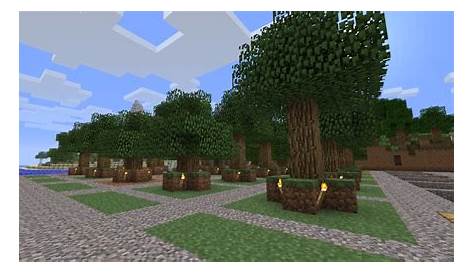 Tree farm Minecraft Map