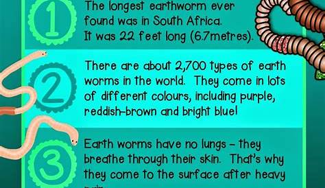 earthworm facts for preschoolers
