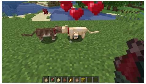 Minecraft: Animal Breeding Guide - How-To Breed All Animals! (2021