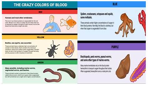 identification deer blood color chart