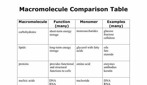 macromolecule comparison table worksheet answers