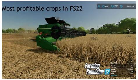 Farming Simulator 22 - The Most Profitable Crop To Grow - How to Make