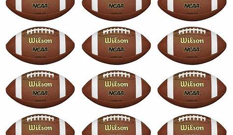Wilson NCAA Composite Leather Junior Size American Football (12 Pack