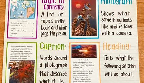 anchor chart for text features