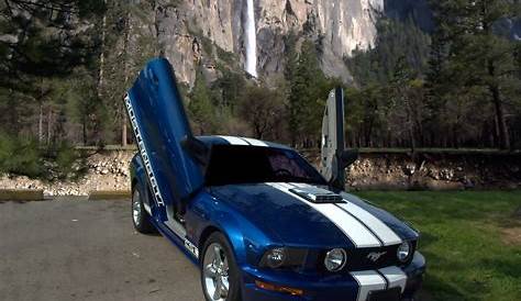 2006 Ford Mustang Custom GT Photograph by Tim McCullough - Fine Art America