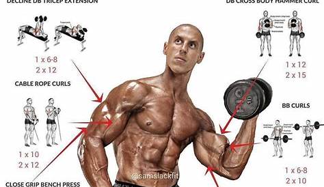 parts of the forearm to workout