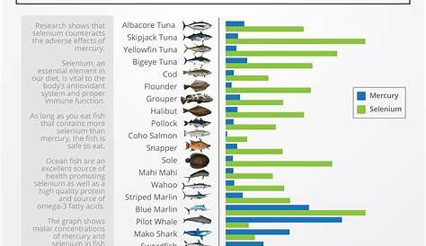 fish mercury levels chart