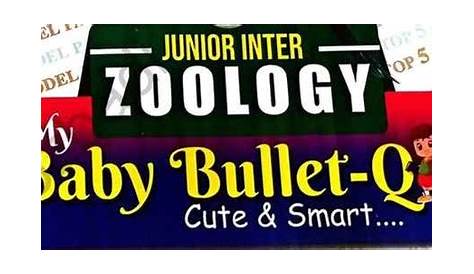 baby bullet book pdf 1st year