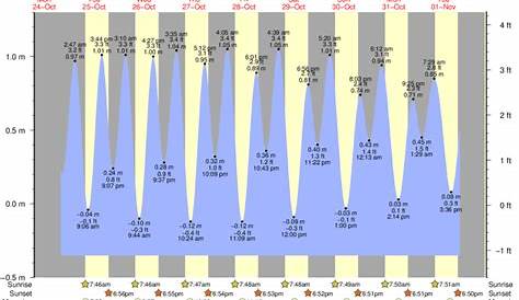 Tide Times and Tide Chart for Bald Point, Ochlockonee Bay