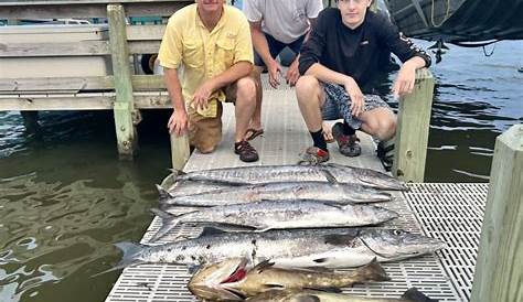 Daily Sneads Ferry Fishing Reports (October 2022)